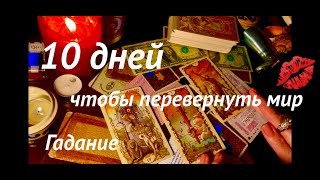 КОЗЕРОГ♑️ВОДОЛЕЙ♒️РЫБЫ♓️ОВЕН♈️ТЕЛЕЦ♉️БЛИЗНЕЦЫ♊️РАК♋️ ampНОЯБРЬ 2024💬💬 таро прогноз гадание [upl. by Anirbys]