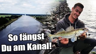 Zanderangeln am Kanal  5 Tipps für mehr Zander am Kanal [upl. by Cagle27]