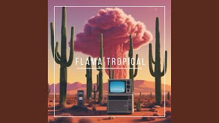 Flama Tropical Original mix [upl. by Navonod]