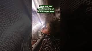 Wie riecht die Waschmaschine 👃🏻👀 360grad kleinanzeigen lustig [upl. by Agemo]