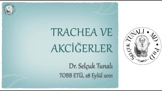 Trachea ve Akciğerler [upl. by Elbon]