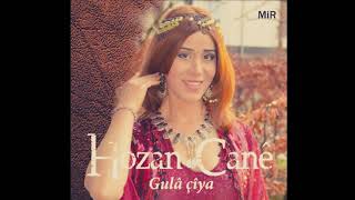 Cane Kobane kurdish english lyrics [upl. by Greenman608]