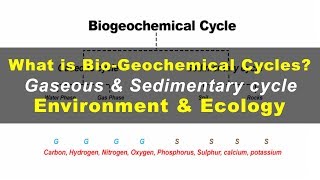 What is Biogeochemical cycles  Environment amp Ecology [upl. by Auqinat]