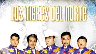 los tigres del norte mix puras buenas [upl. by Aehta]