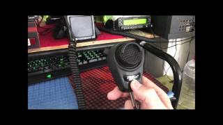 Palomar SL41 Professional Microphone [upl. by Ugo]