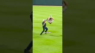 Craziest Fan Invasion Moments in MLB [upl. by Elston]