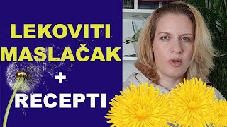 Lekovitost MASLAČKA  recepti ulje melem čaj  dr Bojana Mandić [upl. by Carper103]