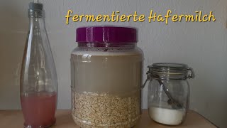 fermentierte Hafermilch selber machen [upl. by Namlaz494]