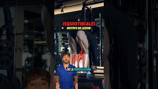 ❗️LESION ISQUIOTIBIALES este es el motivo❗️ejercicio anatomia musculo rehabilitacion futbol [upl. by Shadow]