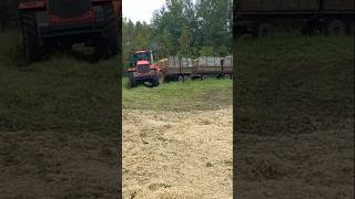 Кировец К 739Стagro farming сельскоехозяйствокировец [upl. by Travax]