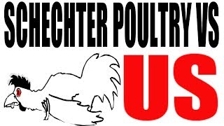 Schechter Poultry vs US 1935 US History Review [upl. by Aprile]