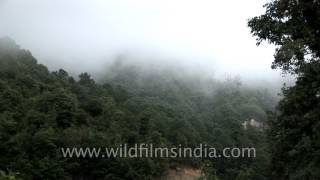 View of Bumthang valley in Bhutan [upl. by Madaras]