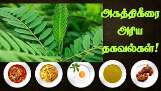 💥அகத்திகீரை அரிய தகவல்கள்  benefits  tamil  spinach [upl. by Gnolb]