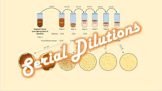 Minimum inhibitory concentration by Agar dilution method [upl. by Anawyt]