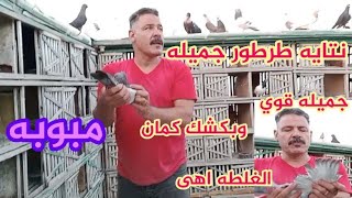 لاقيت نتايه طرطور جميله قوى غلطة غاوى وفتحت الفحمى اتمخول تعالو نشوف [upl. by Mavilia]