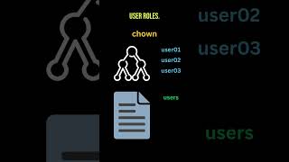 The Power of chmod and chown on Linux [upl. by Perle]