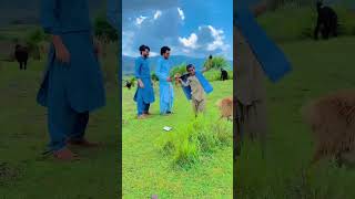 pashtoshayari pashtopoetry pashto pashtomusic peshawar pashtosongs pashtosong khybarpukhtunk [upl. by Artinad445]