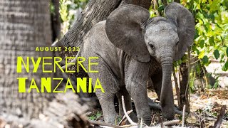 Tanzania Safari  Nyerere National Park Selous  August 2022 [upl. by Baptist401]