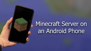 Running a Minecraft Server on WHAT [upl. by Thilda984]