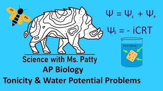 AP Tonicity and Water Potential [upl. by Calesta764]