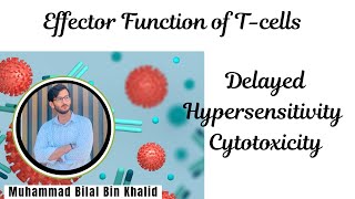 T cells  Effector Functions  immunology biology microbiology medical [upl. by Airehtfele]