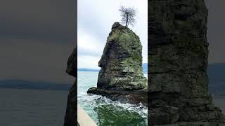 Siwash Rock in Stanley Park seawall youtubeshorts trending short [upl. by Mireille]