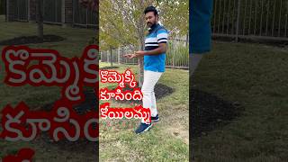 Kommekki koosindhi koyilammayoutubeshorts shorts trendingshorts chiranjeevi [upl. by Loria]