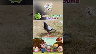 The Animal Sounds Song  Birds  Peacock  Owl  ETC EduFam Nursery Rhymes animals [upl. by Harifaz]