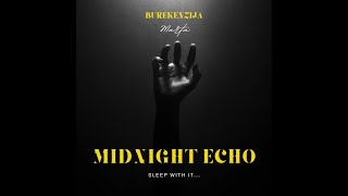 FREE MIDNIGHT ECHO  quotDark Trap Beatquot  Prod by burekenzija [upl. by Harhay]