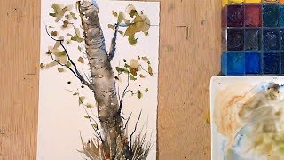 Acuarela  Como pintar un Abedul  Watercolor Birch paint Tree [upl. by Chappy]