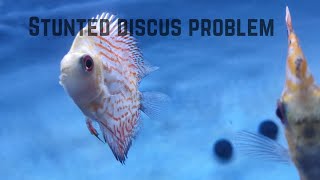 Stunted discus problem [upl. by Jarred]