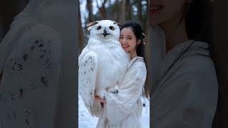 Beautiful Snowy Owl birds [upl. by Teressa]