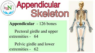 Appendicular Skeleton System With Mnemonic  Learn within Minutes [upl. by Laurence]