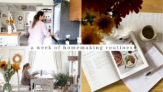 A Week Of Homemaking my weekly routines  meal planning cleaning cooking comfort meals laundry [upl. by Eire646]