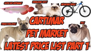 Cartimar Pasay Pet Shop Latest Price List  Dogs Cats Fish Philippines  Part 1 [upl. by Areemas700]