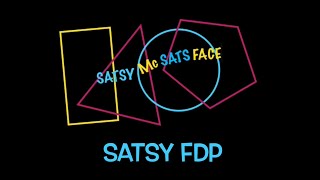 BrieAnna’s Guide to Satsy FDP SATs [upl. by Janifer]