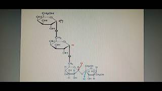 Hydrolyse Enzymatique Des Oses Avec Exercice [upl. by Larue]