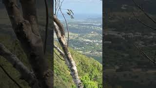 Spotted St John’s on Boggy Peak climbed March 24 2024 [upl. by Celik]