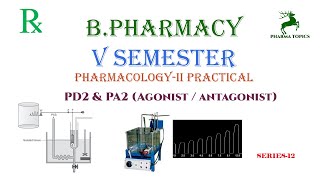 Agonist  Antagonist  PD2PA2  Series 12 [upl. by Naletak]