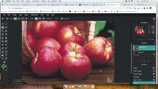 PIXLR LESSON How to use the Lasso Tool video 2 [upl. by Ahsenhoj]