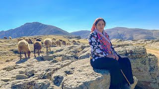 IRAN nomadic life  daily routine village life of Iran  Nomadic lifestyle of Iran [upl. by Nahgrom]