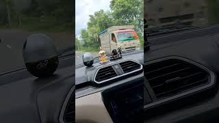 Car Driving Masti youtubeshorts viralshorts ytshorts song like new [upl. by Adnirem]