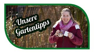 Aussaat amp Gartentipps im Februar 🌱 Jungpflanzenanzucht unsere Ausstattung [upl. by Bornstein525]