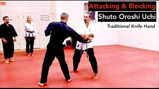 Strikes as Blocks Drill • Jujitsu Atemi jujutsu  jiujitsu  JUKIDO JUJITSU [upl. by Luaped]