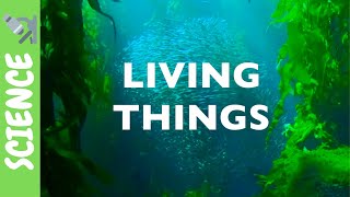 Living and NonLiving Things  Science for KIDS [upl. by Ydissac]