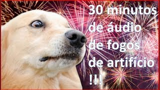 Como dessensibilizar o cachorro com medo de fogos de artifício [upl. by Booma]