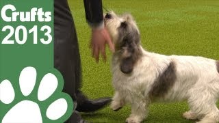 Group Judging  Hound  Crufts 2013 [upl. by Llewej]