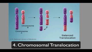 chromosomalmutations [upl. by Etram123]