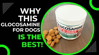 Review and Demo of Glucosamine Chews for Dogs [upl. by Atilrac]