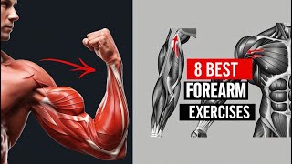 Get FOREARMS of STEEL in Just 4 Weeks with These 8 Exercises [upl. by Nnyltiak754]